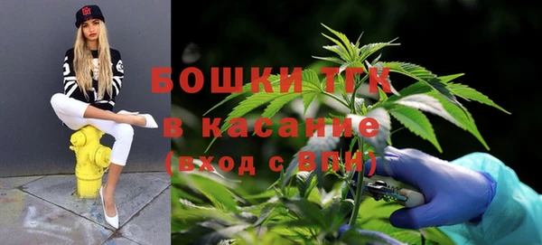 меф Арсеньев