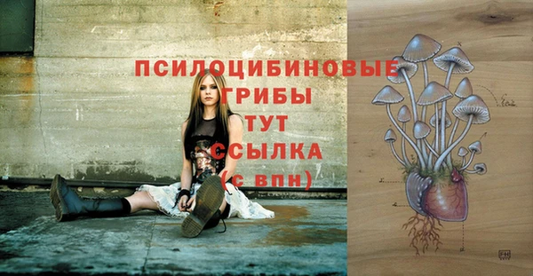 меф Арсеньев