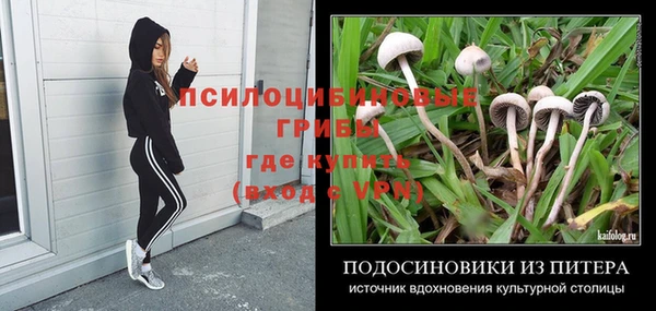 соль курить ск Аркадак